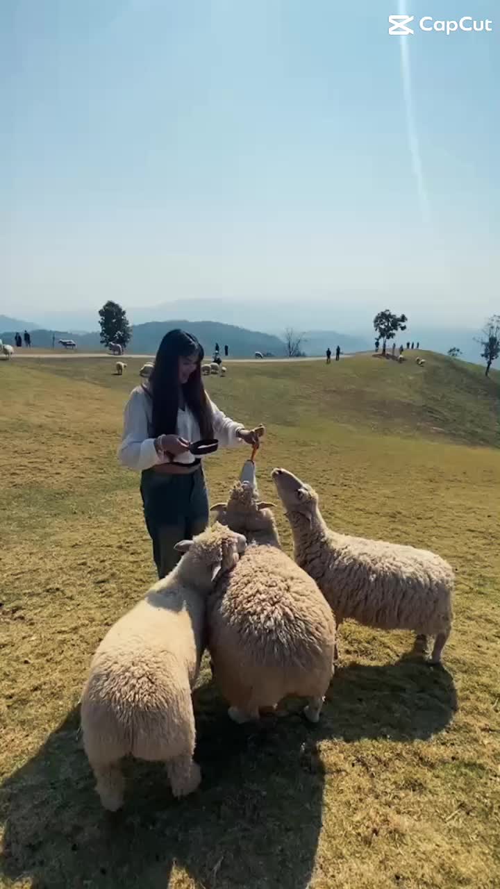 @Supasorn🫶🏻