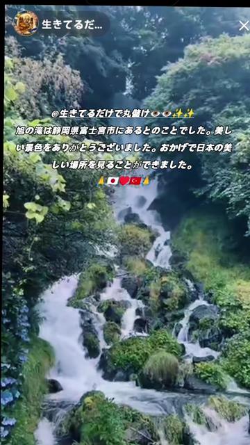 @🌼🌹SUZAN 🌹🌼