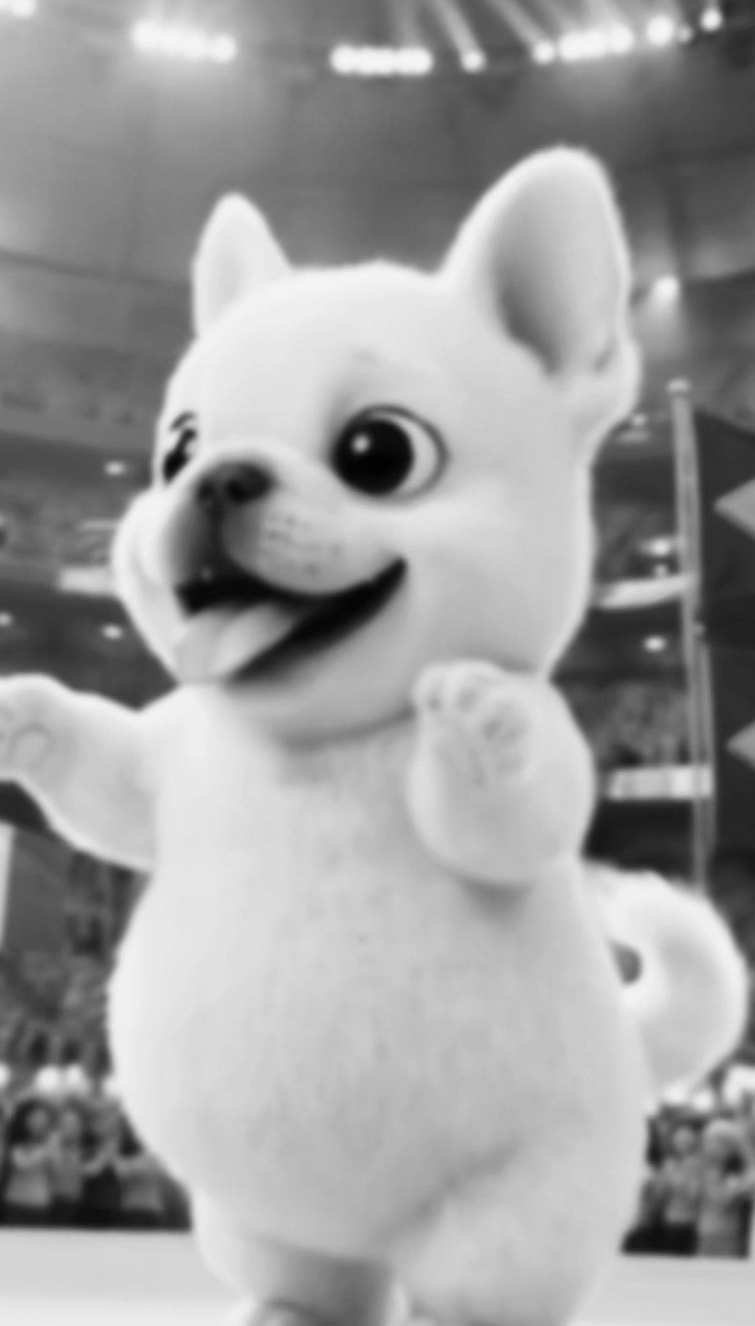 @paw_clips0