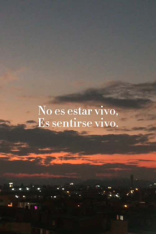 @cocoo_rem