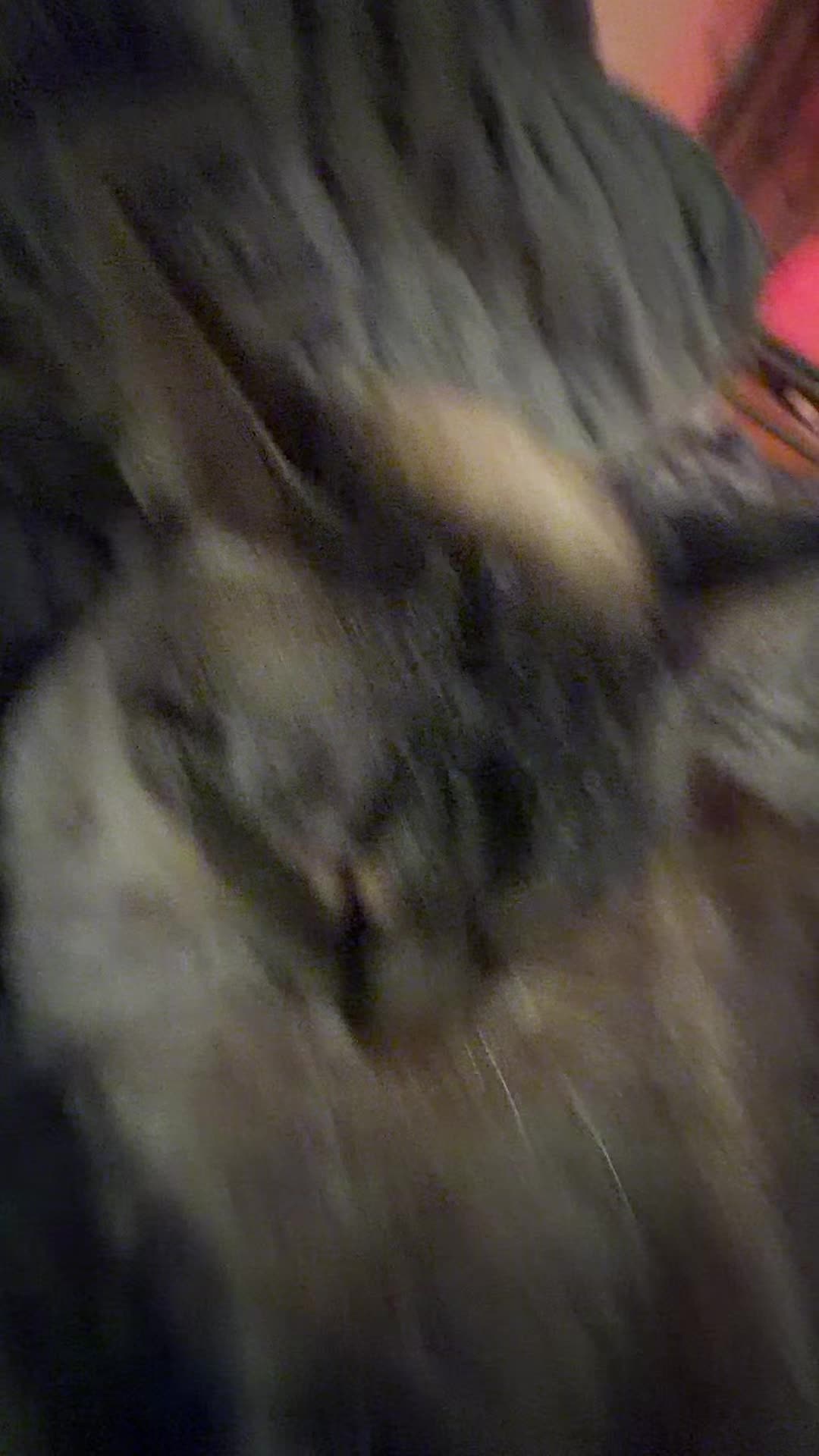 @PepperTheCat