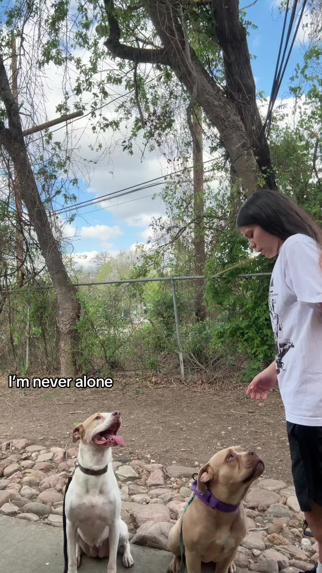 @nat
