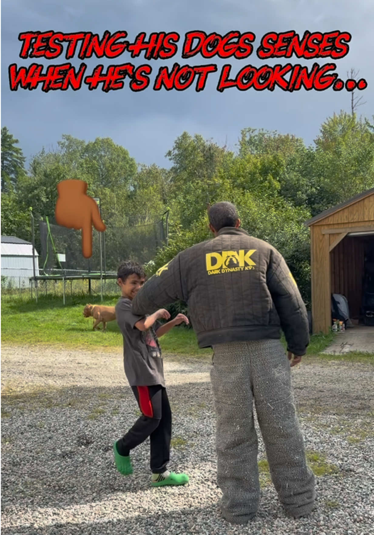 @DarkDynastyK9s