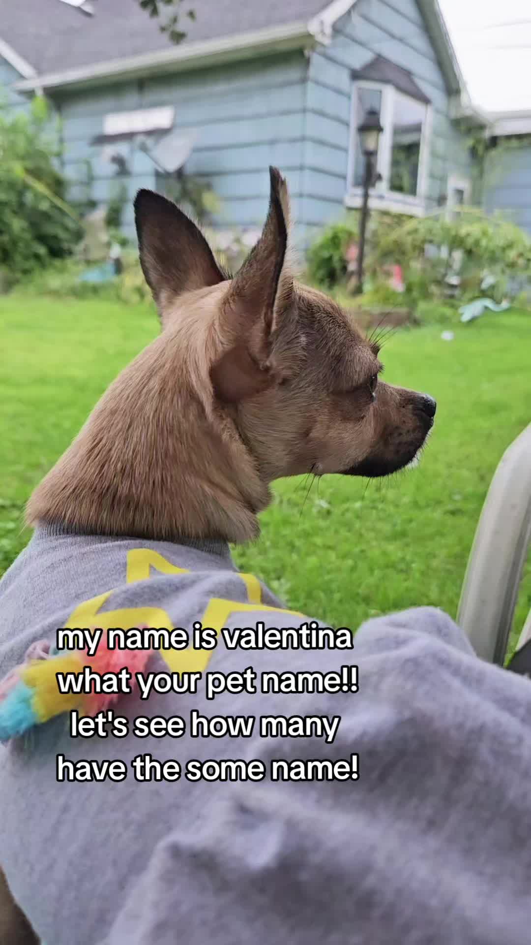 @vickytorres