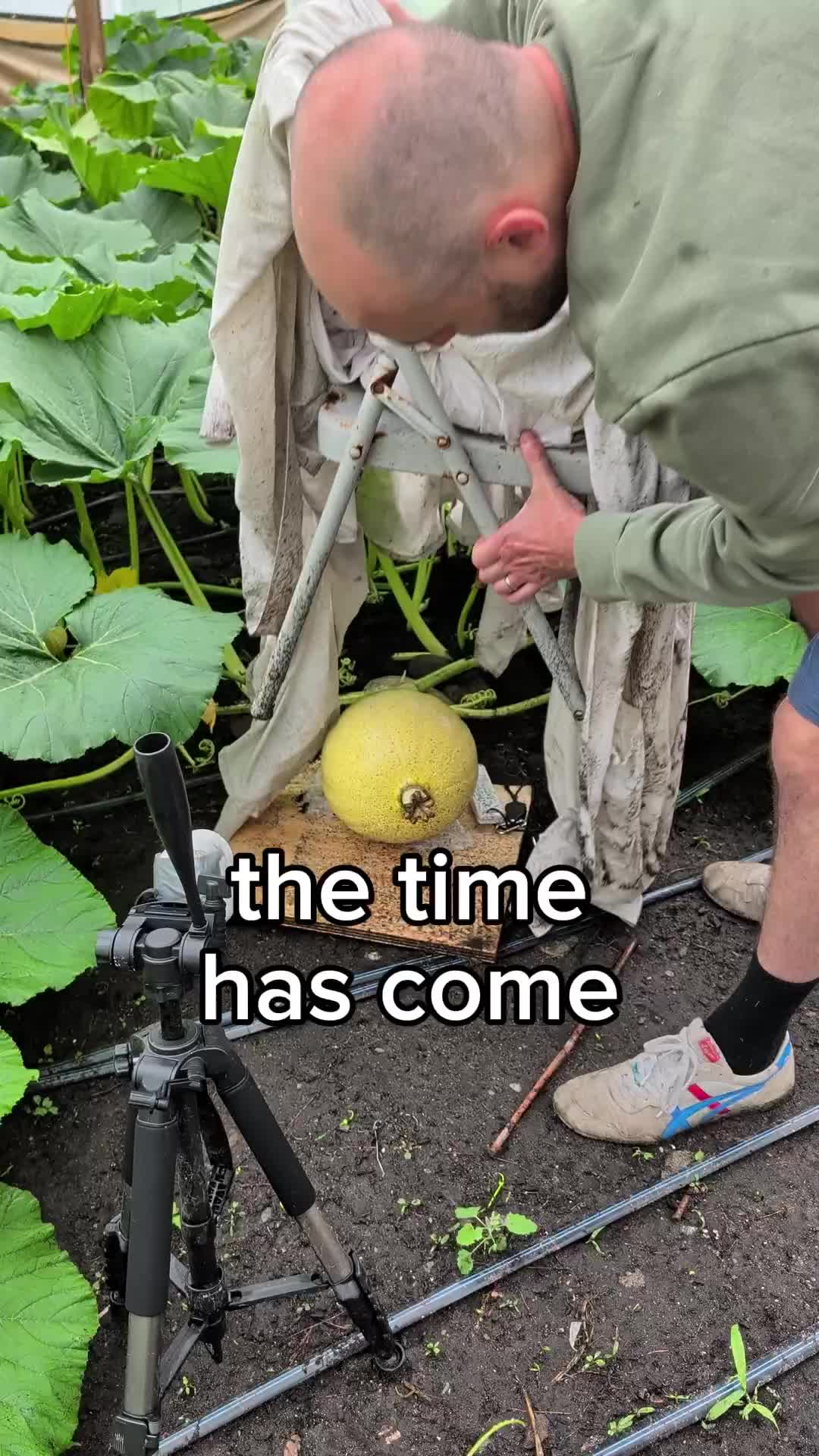 @bigpumpki