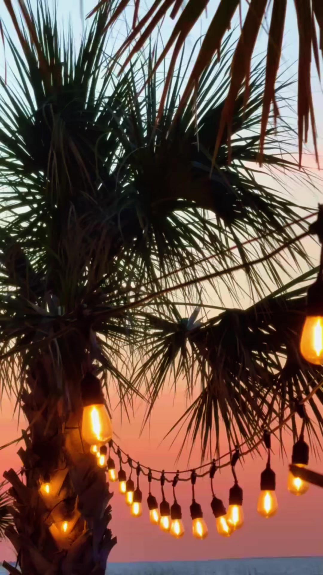 @🏝️OBX SANDY🏝️