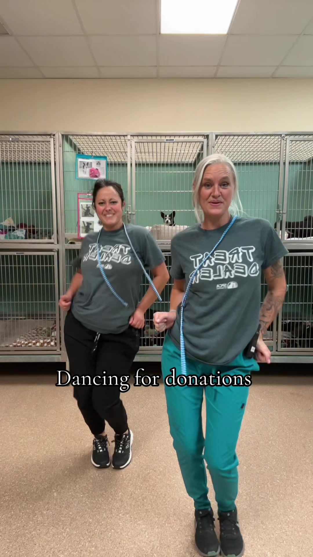 @2vettechs