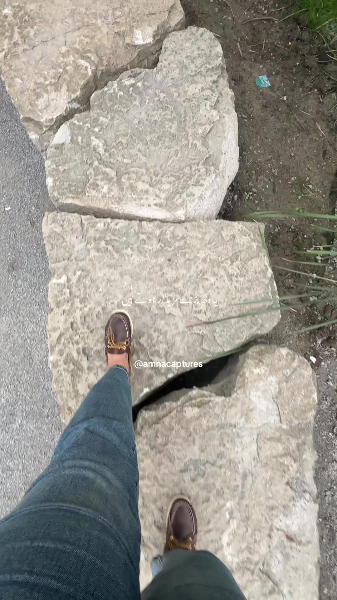 @Nature lover 🇨🇦