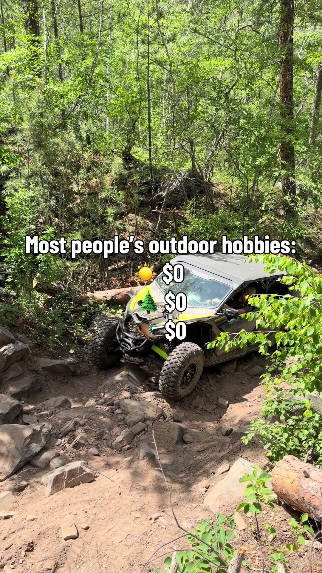 @Ashley Fischer