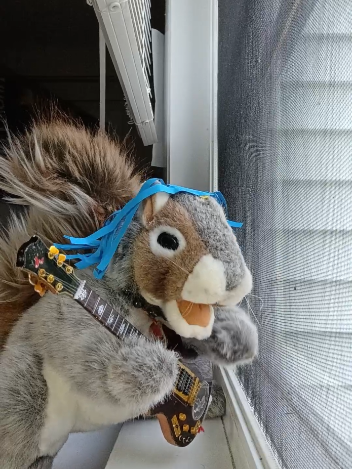 @Charles The Squirrel