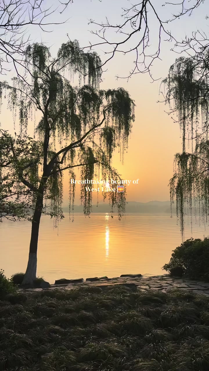@Tako 潭诗文