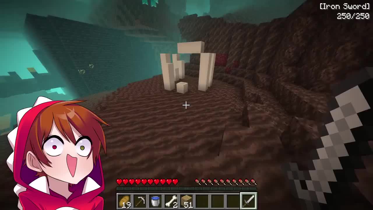 @RaptorGamer_