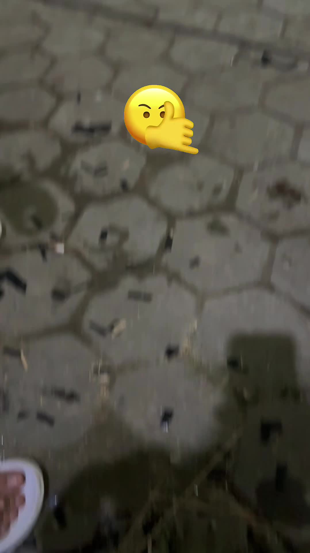 @PUKY_MAXXz