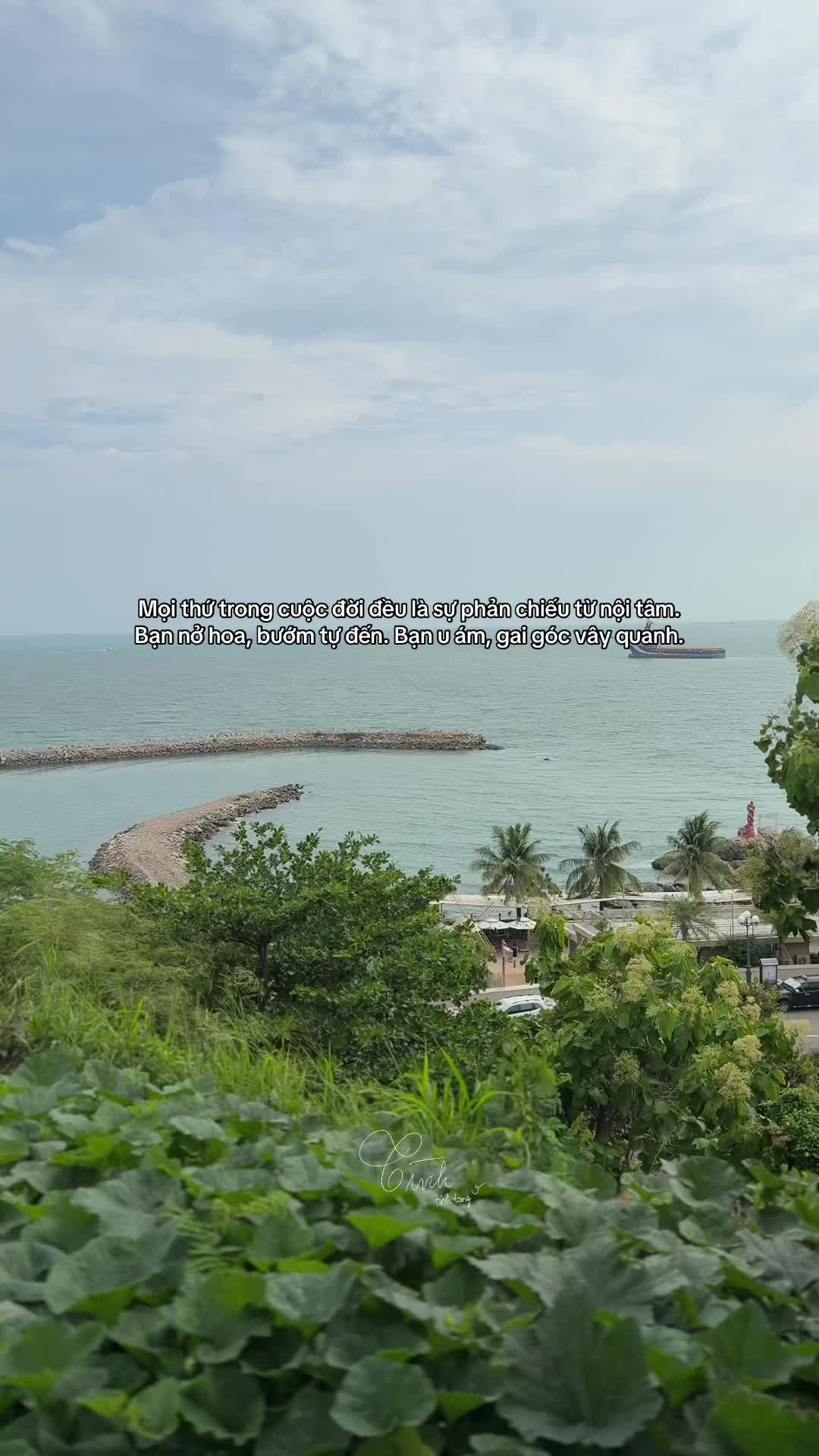 @Reels của Tình 🫧
