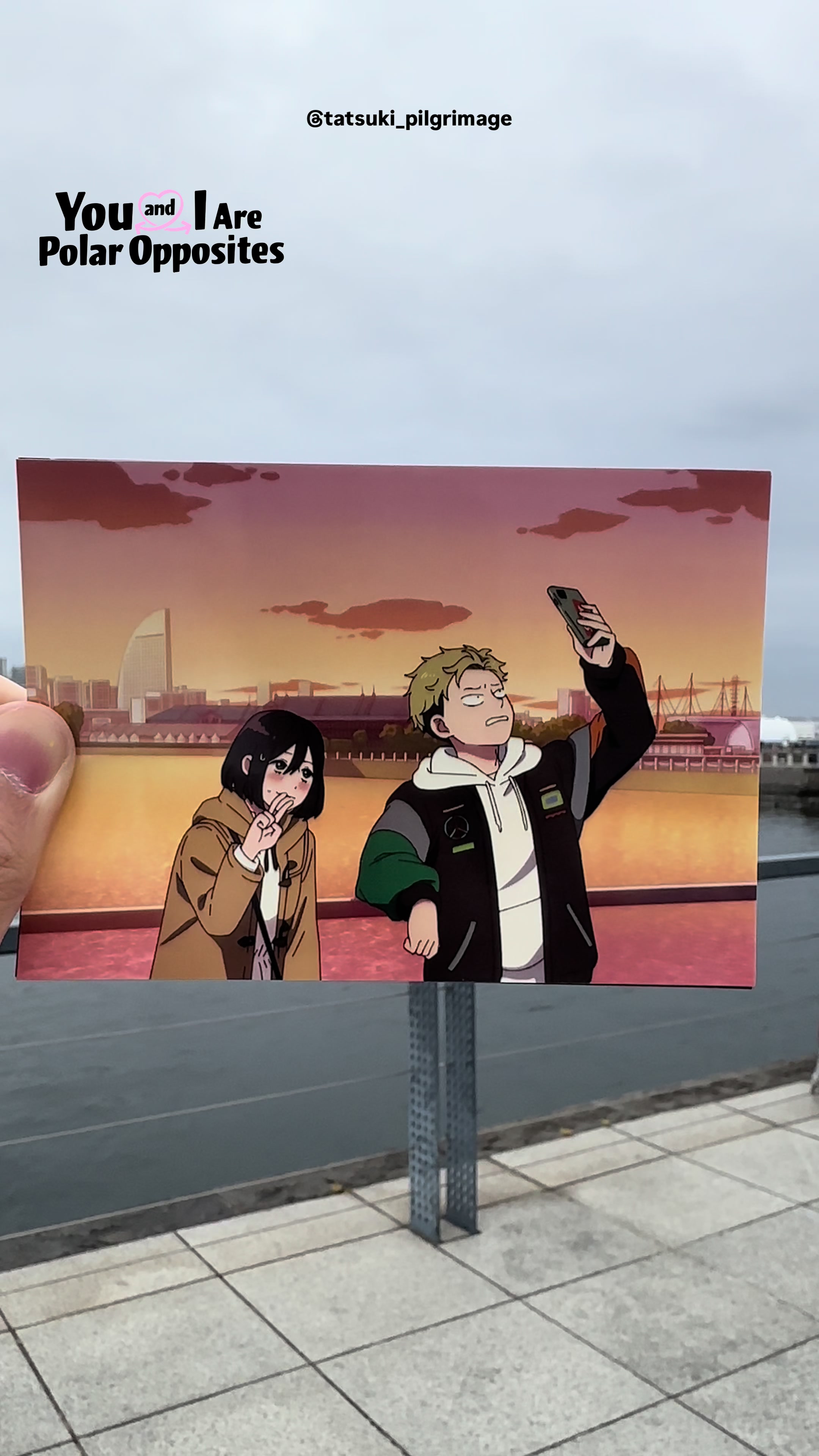 @ヤマタツ