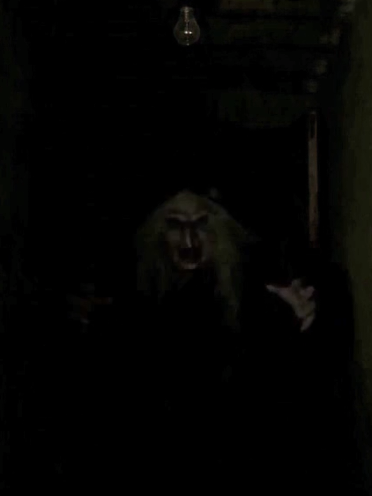 @Terror_tales_studio