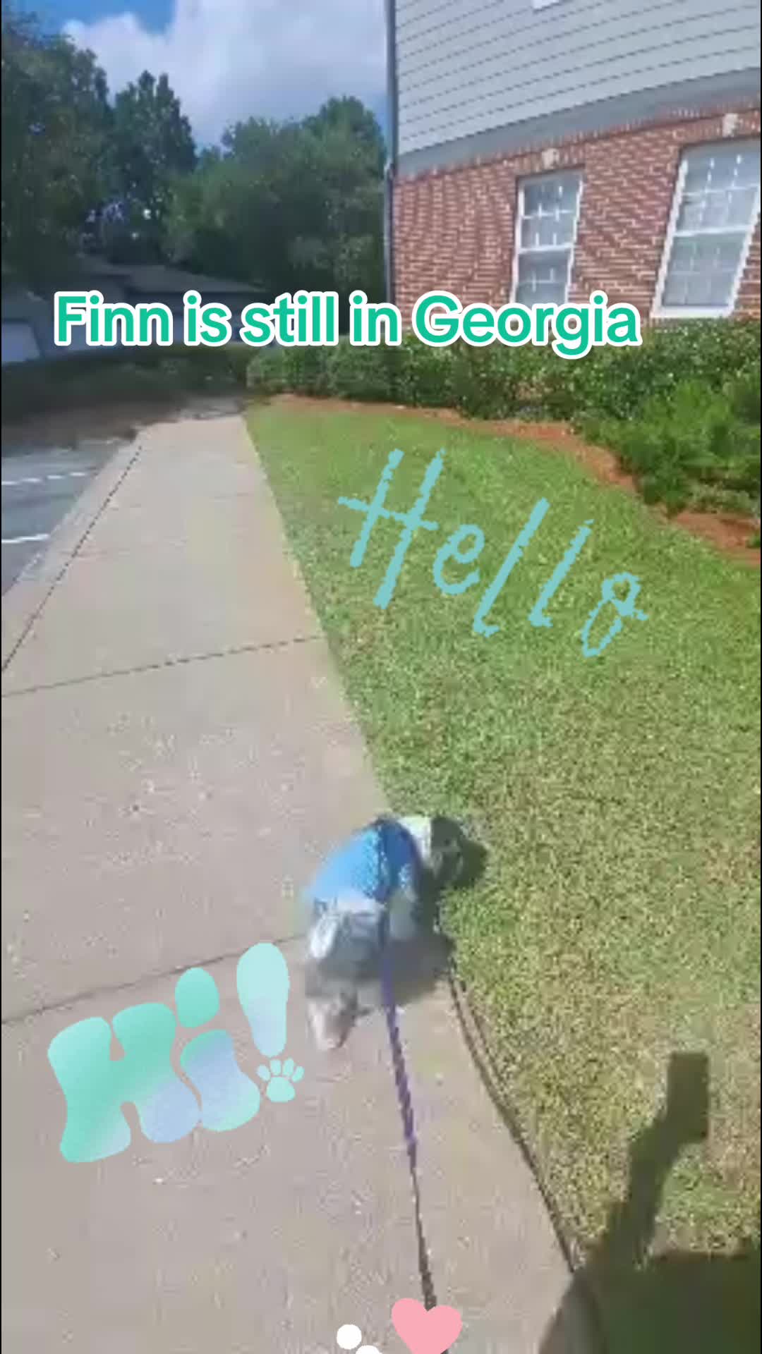 @finn2nyc