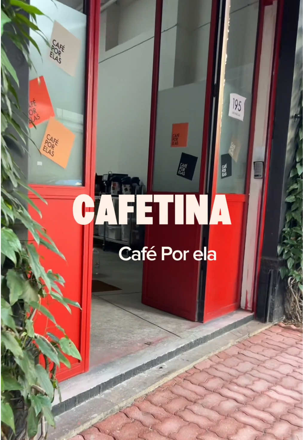 @flavinha