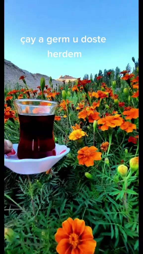 @BEYAZSU_YAŞAM