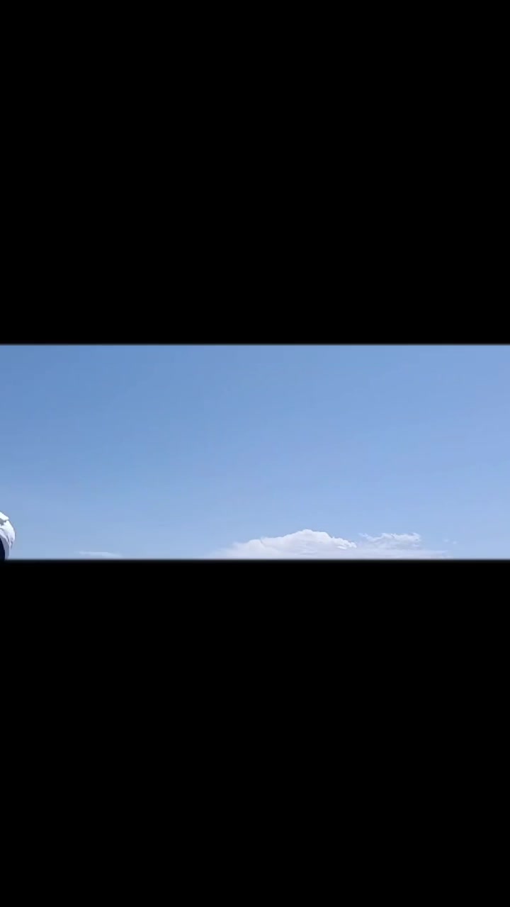 @_Г_О_Р_Д_И_😎_