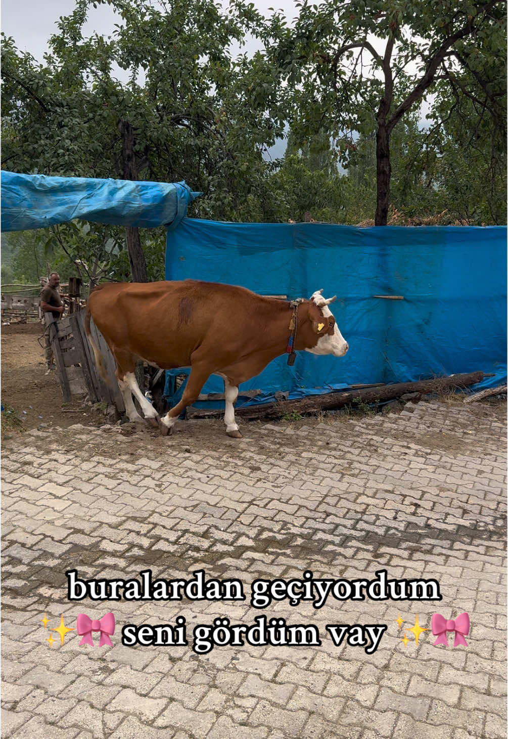 @GK