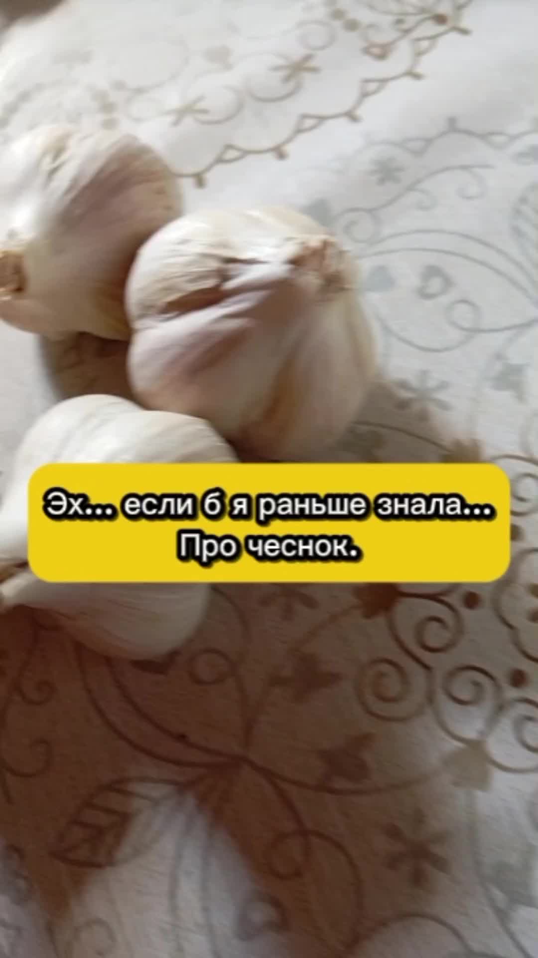 @Ogorodozigzag