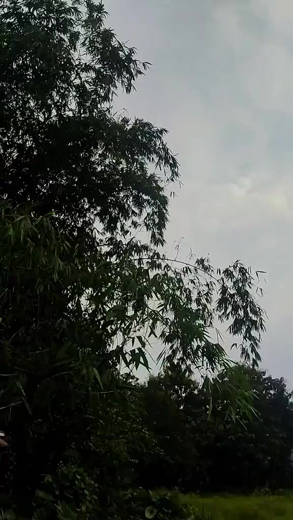 @𝐑𝐁𝐒𝐒_𝐏𝐊𝐋𝐍𝐆𝐀𝐍🍁