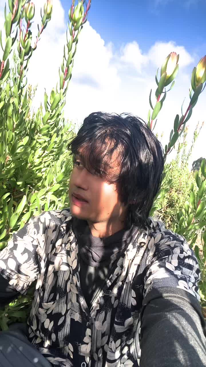 @🪈🦚