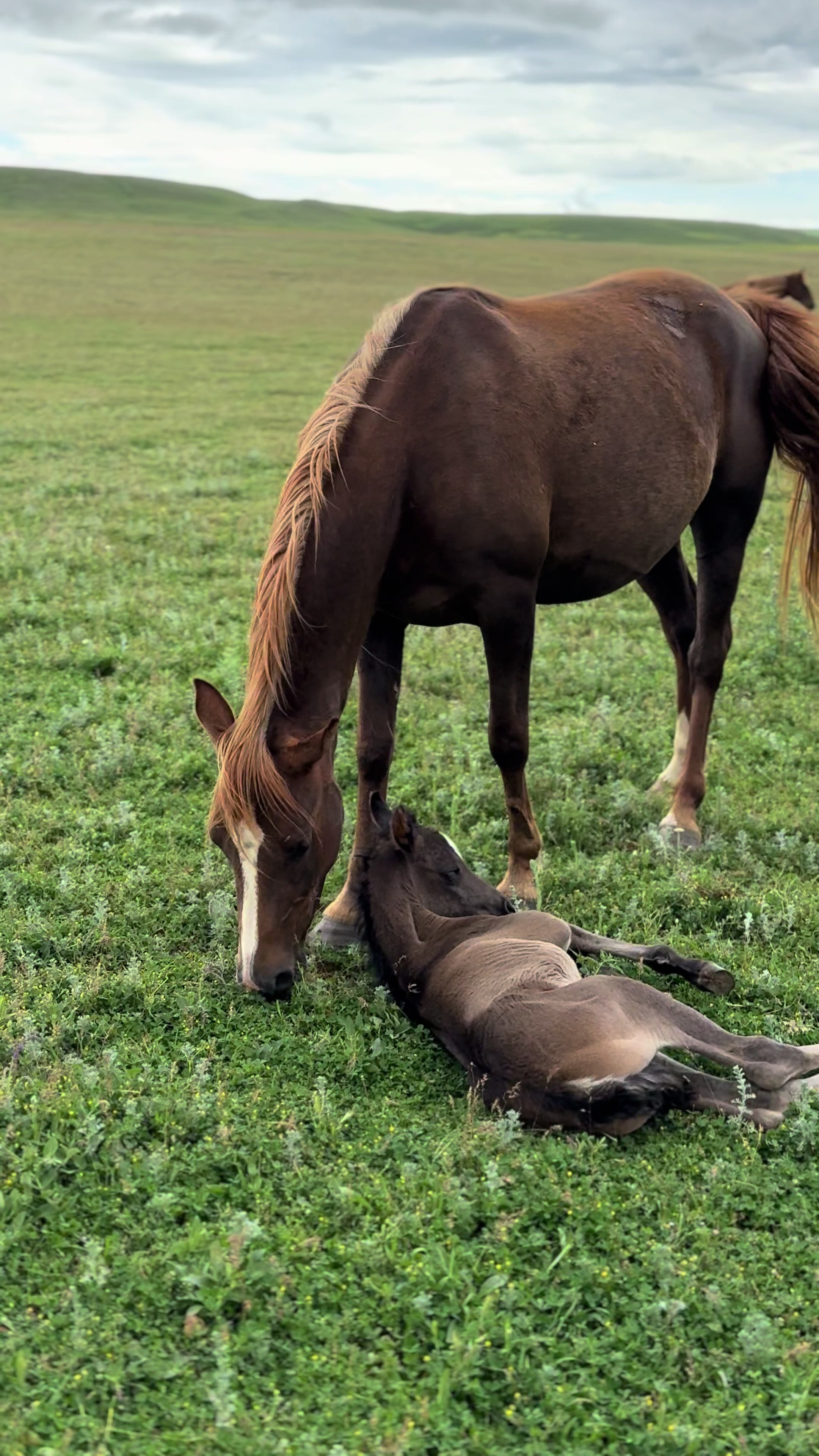 @MakvinStud