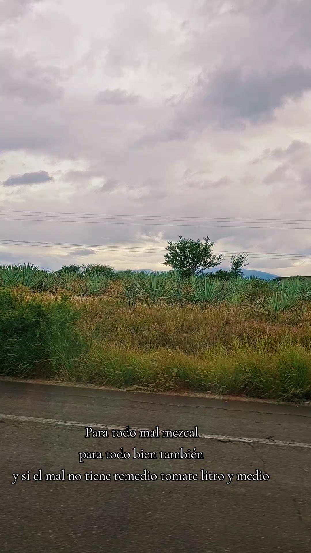 @Graciela Altamirano