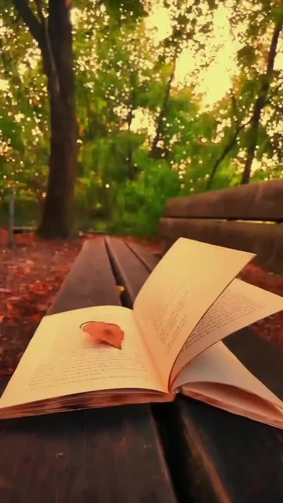 @🌸💫❤️