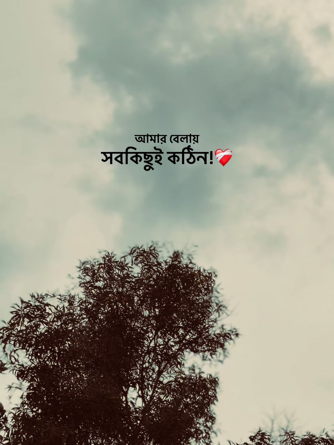@❏ 𝗔𝗙𝗝𝗔𝗟'🐼