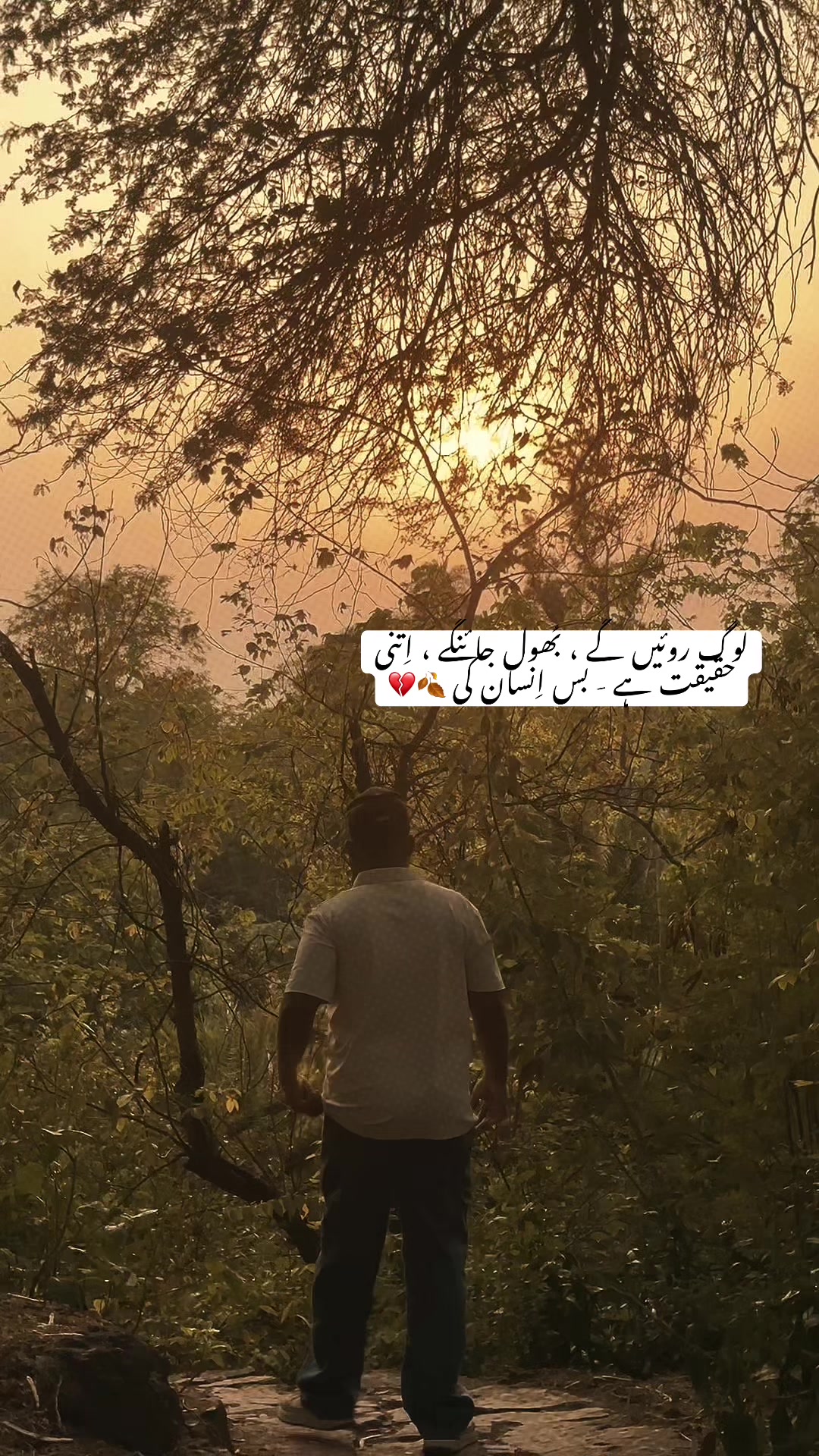 @Meer SHAH🔱💯