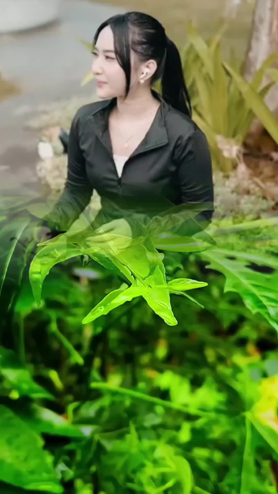 @𝑷𝒂𝒄𝒂𝒓 𝒐𝒏𝒍𝒊𝒏𝒆