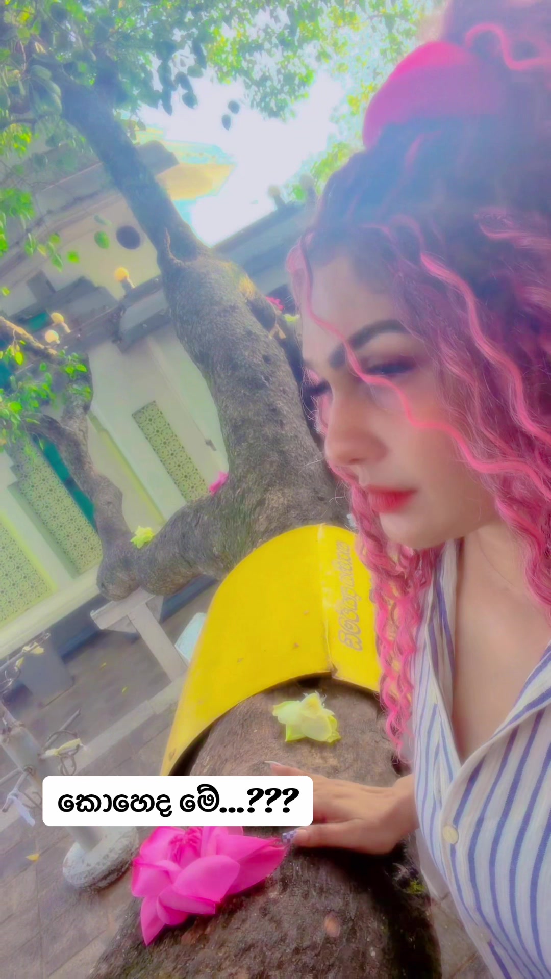 @Ishaniom 🧿لاكشيكا🧿
