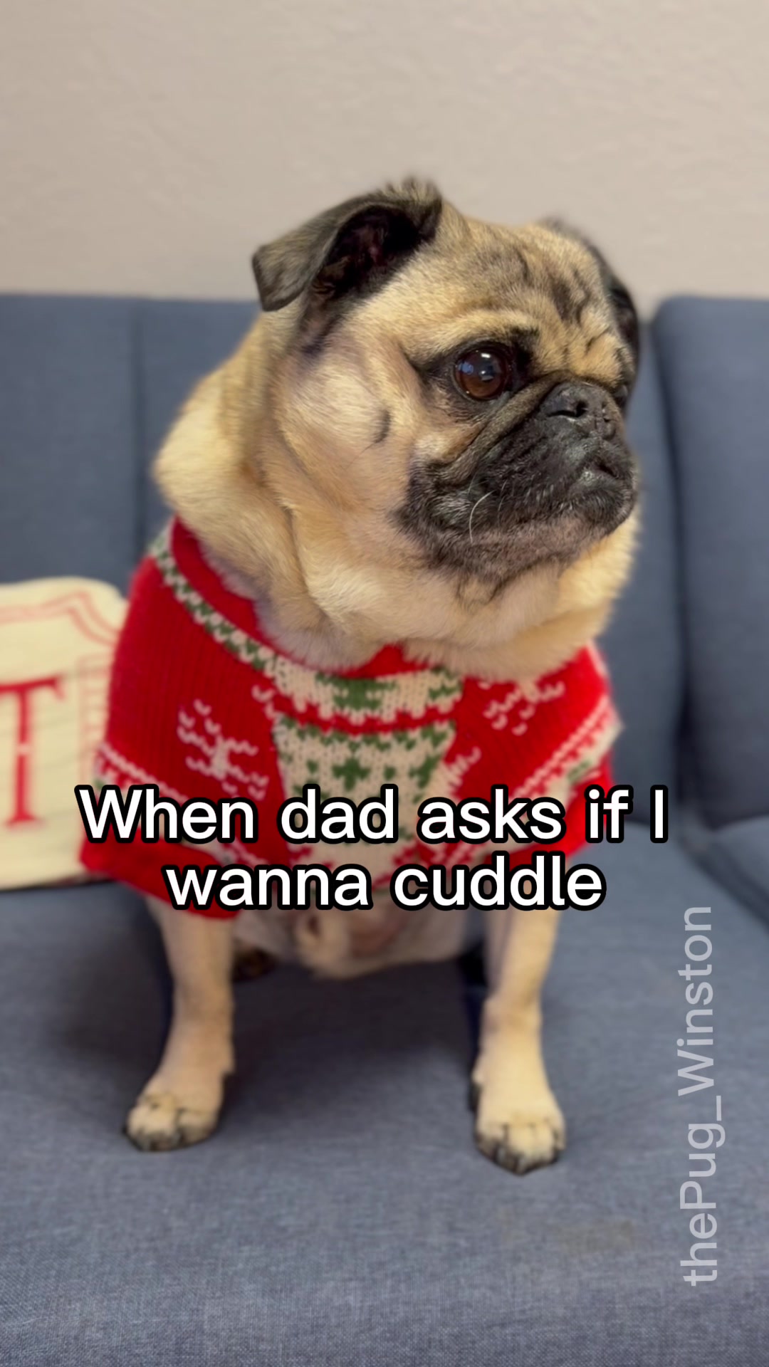 @Winston the Pug