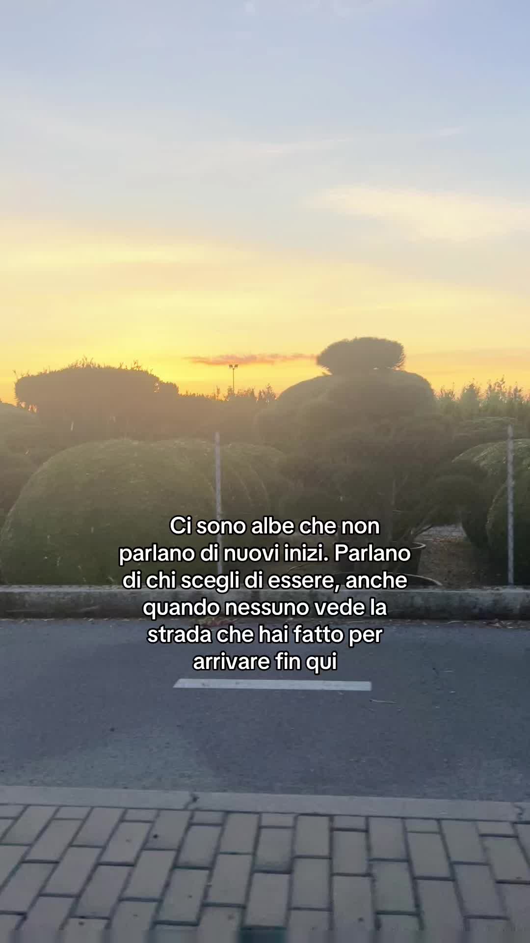 @ELISABETTA