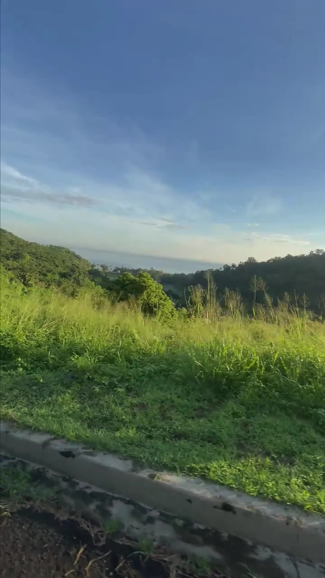 @JEMS.