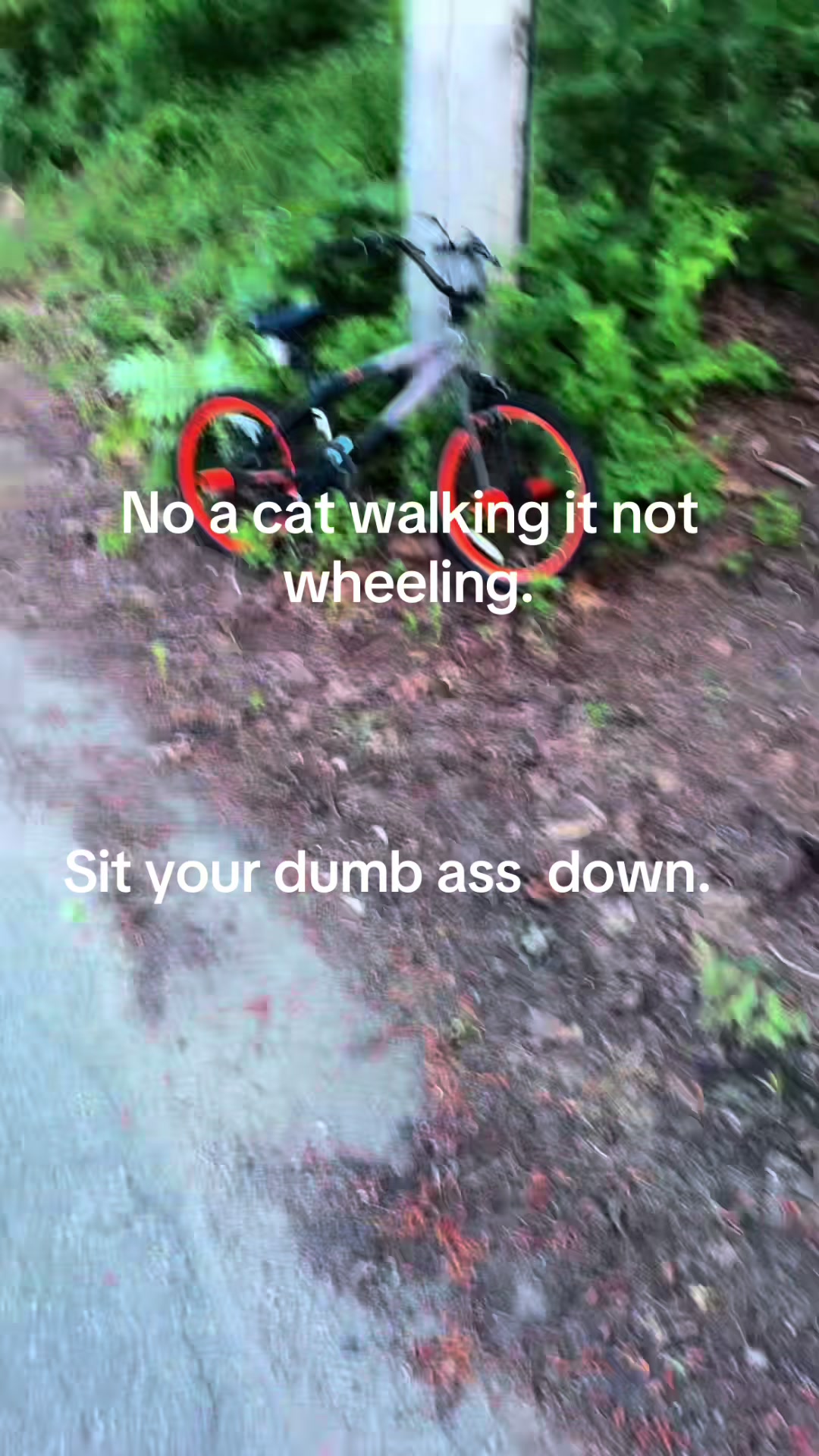@👑 🧼 Rj 👻 🫟