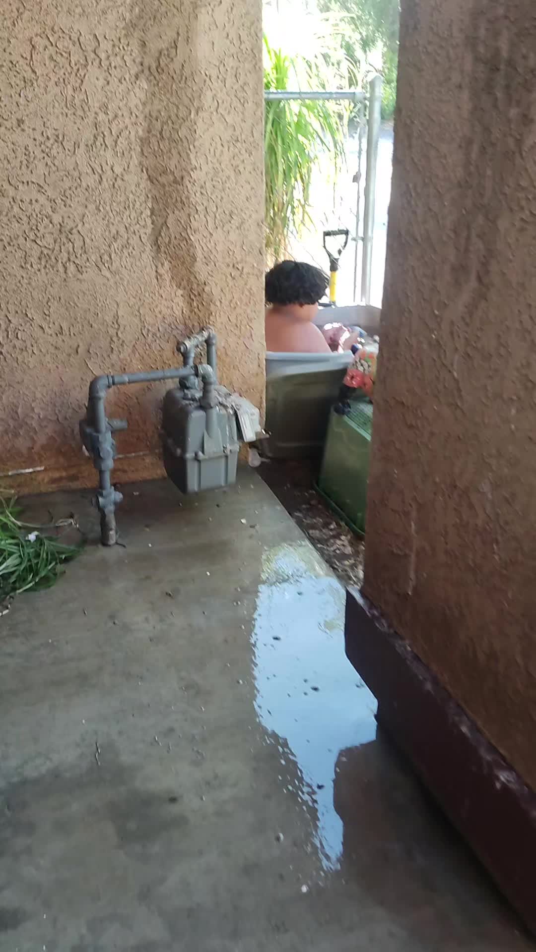 @brenda mercado