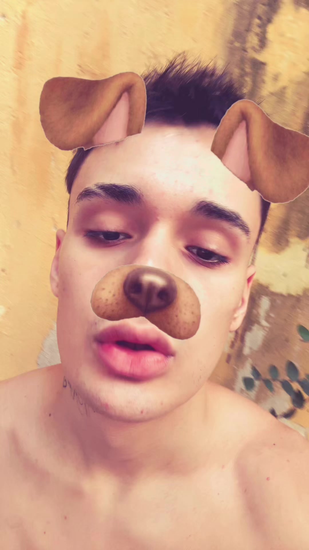 @turrobaby