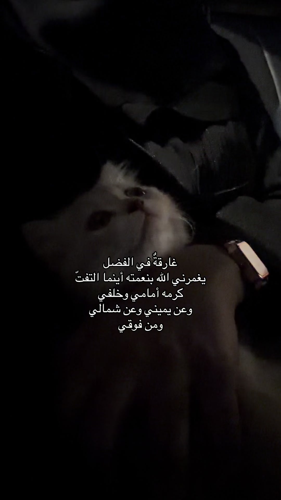 @Lolah