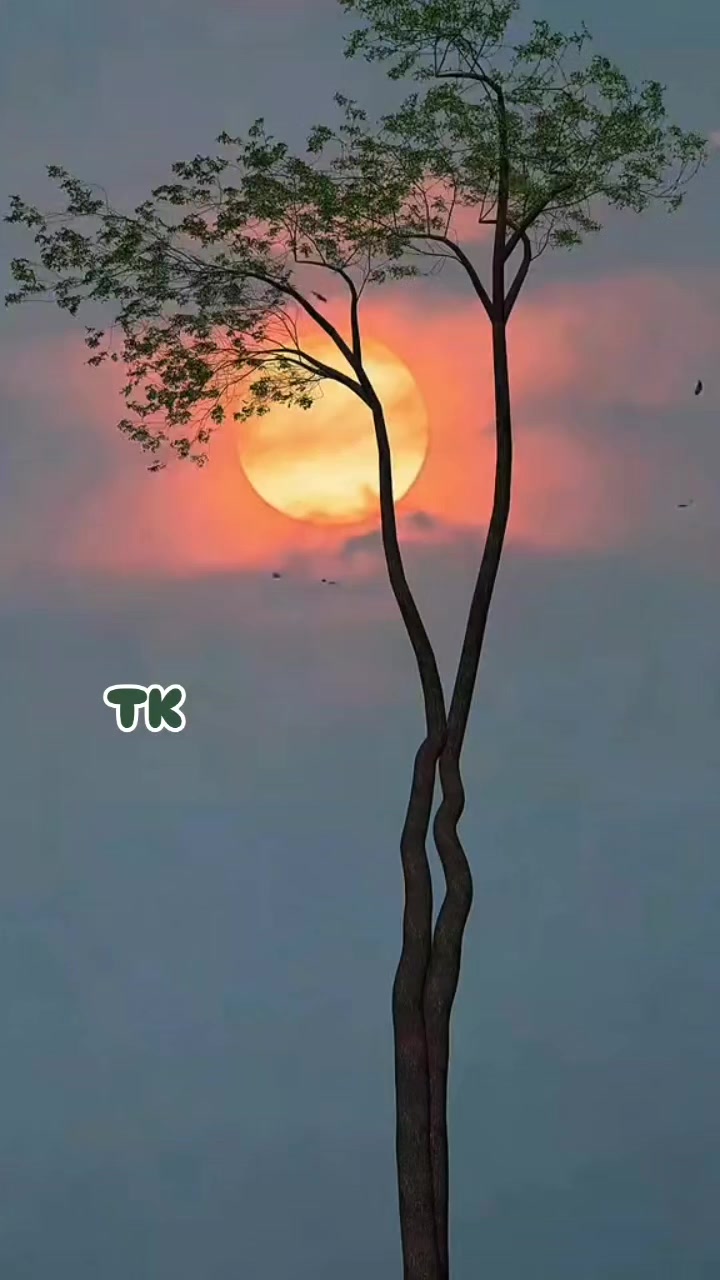 @❤️ TK ❤️