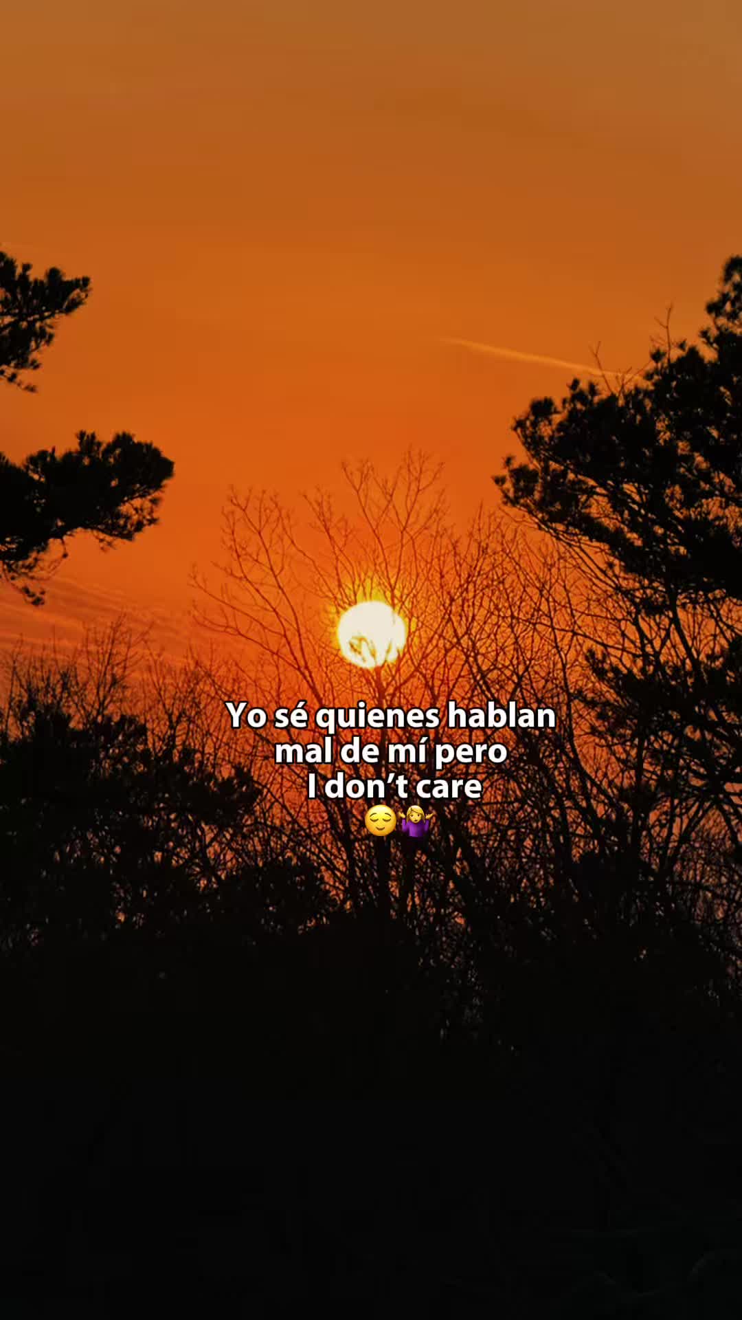 @Ana Lupita Ramírez