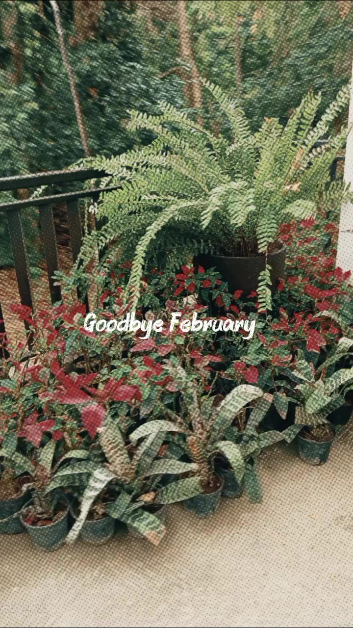 @JamieRhexy