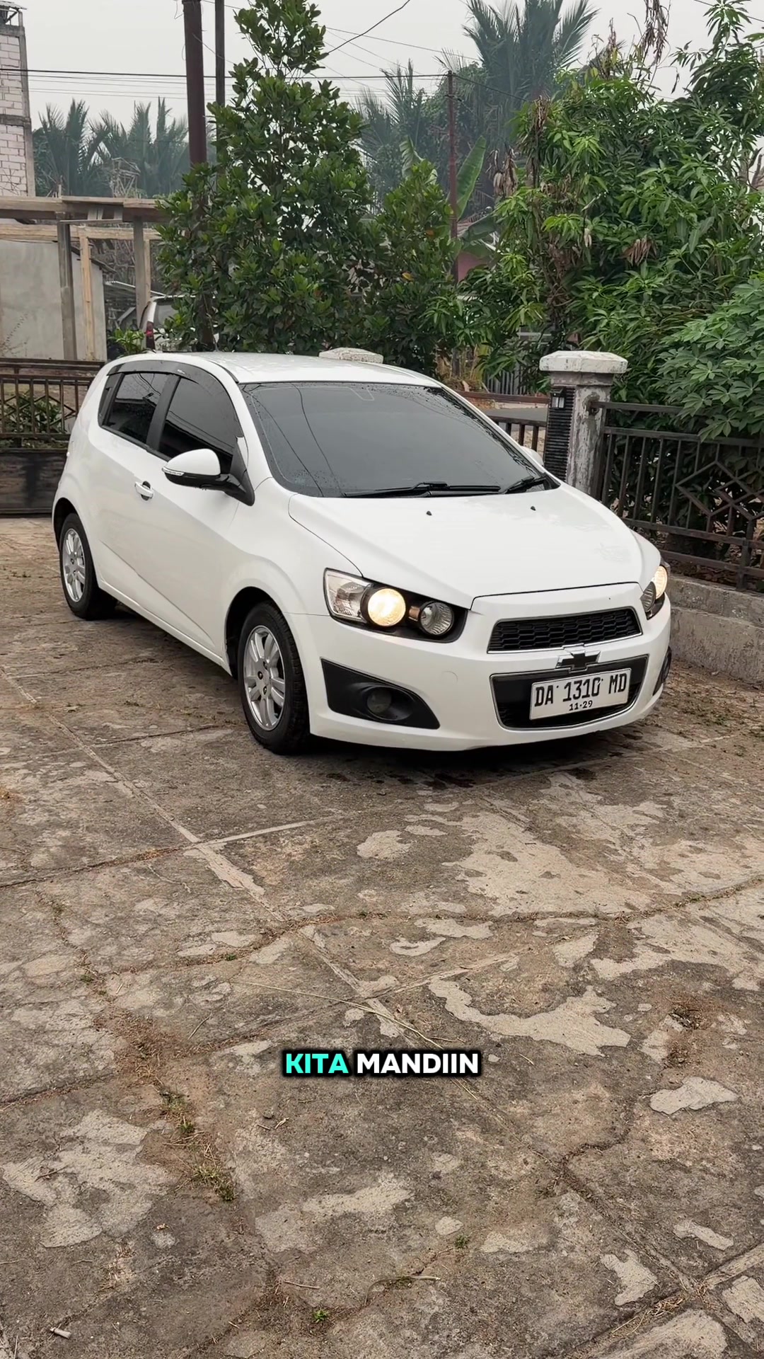 @pengepulmotortim