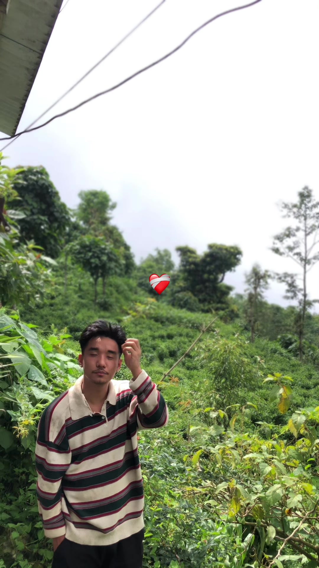 @chemjung 