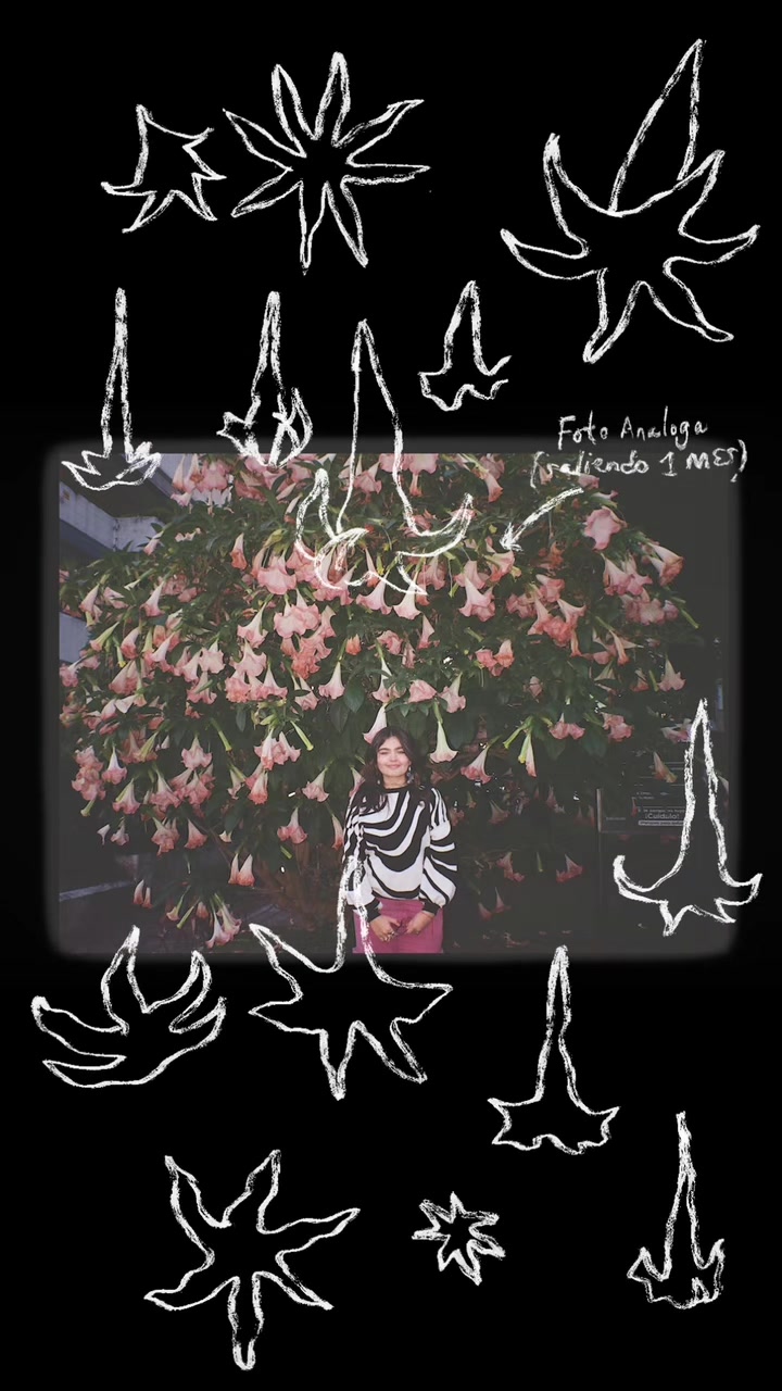 @daniela ౨ৎ⋆˚｡⋆