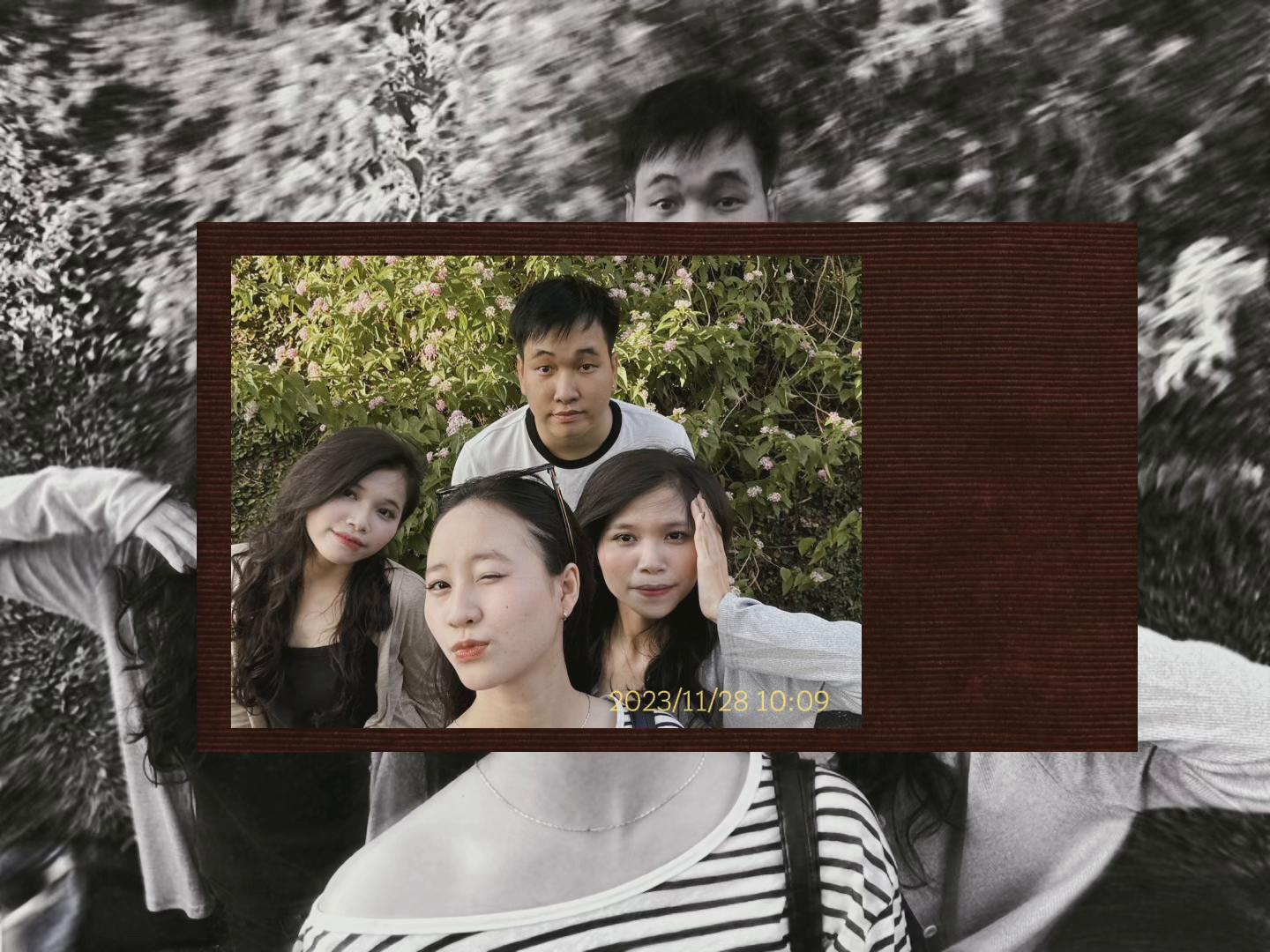 @tạp nham