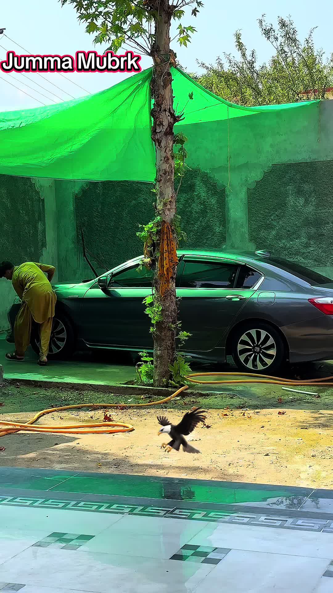 @🦋Hخان🦅
